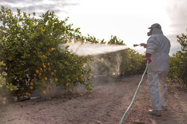 Best Mosquito Control Services  in South Venice, FL